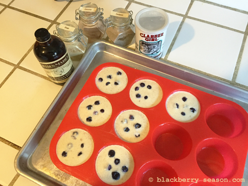 bluberry muffins